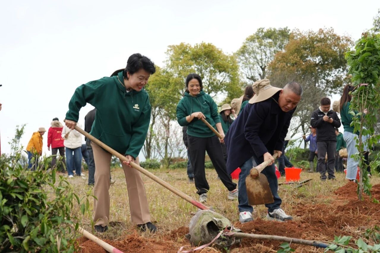 植绿护茶・生生不息丨三棵树福鼎白茶园生态修复项目启动