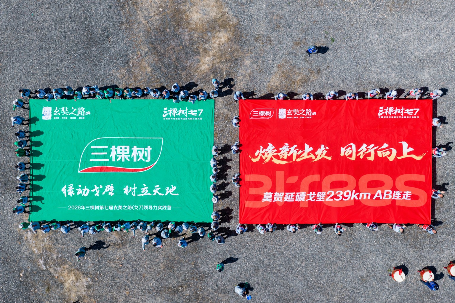 绿动戈壁 树立天地｜三棵树戈7荣耀落幕：焕新同行 向上不止